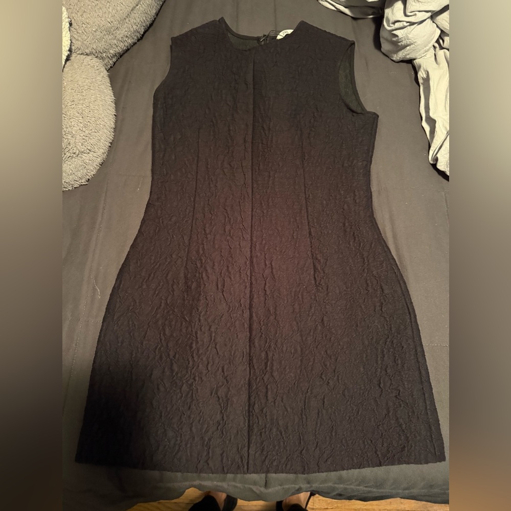BNWOT Zara Mini Dress